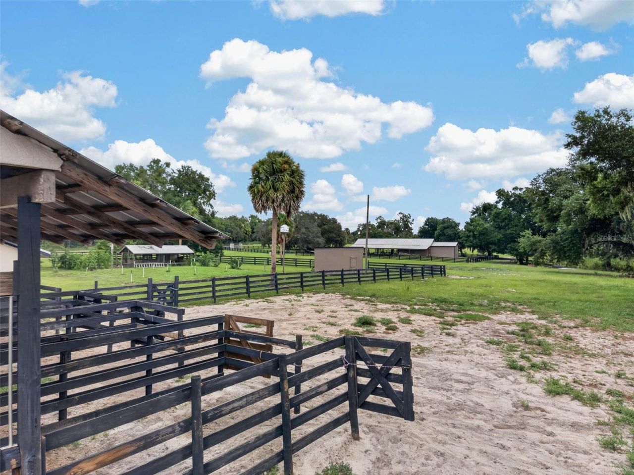 13342 W Lake Yale Road, Umatilla, FL 32784 Photo