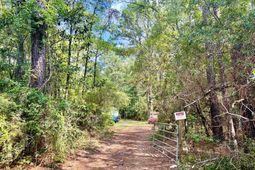 179 Song Bird Drive photo 4
