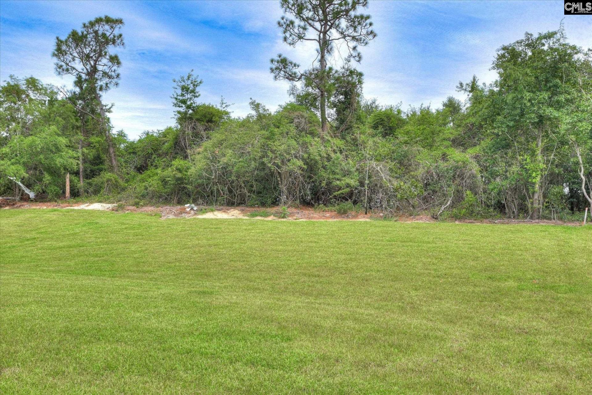 306 Summer Orchard Drive  Photo 42
