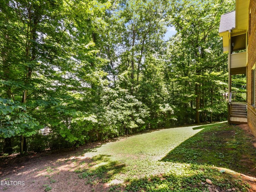 Property Image 54