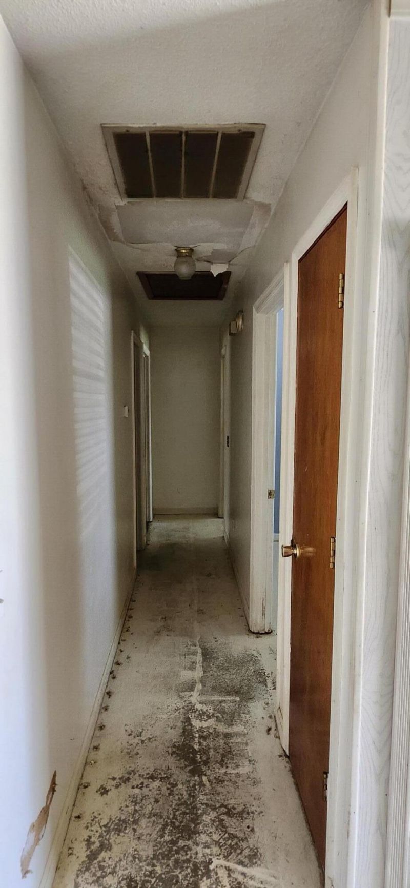 12 Ferncliff Way Photo 10