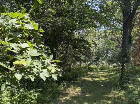 Main Photo
