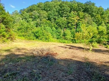 0 Bull Hollow Road, Manchester, KY 40962
