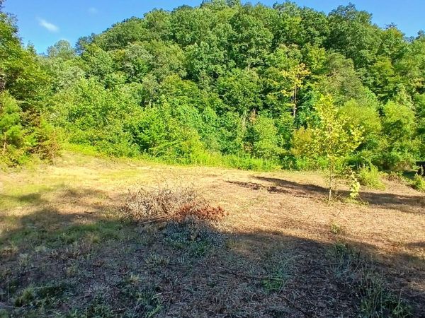 0 Bull Hollow Road, Manchester, KY 40962