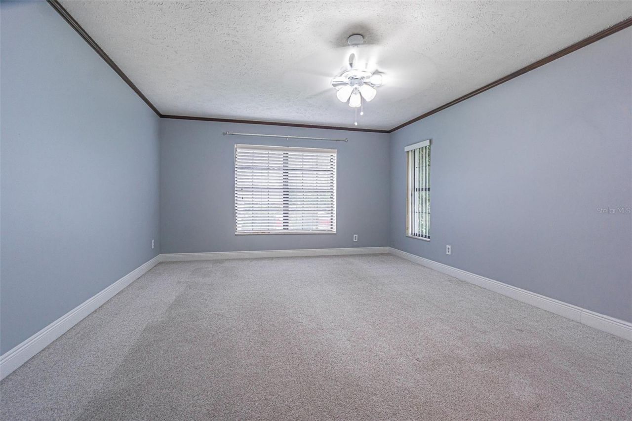 9217 Kingsridge Drive, Temple Terrace, FL 33637 Photo