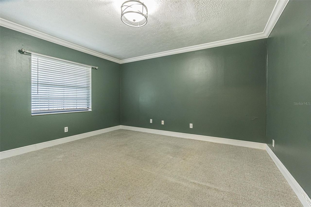 9217 Kingsridge Drive, Temple Terrace, FL 33637 Photo