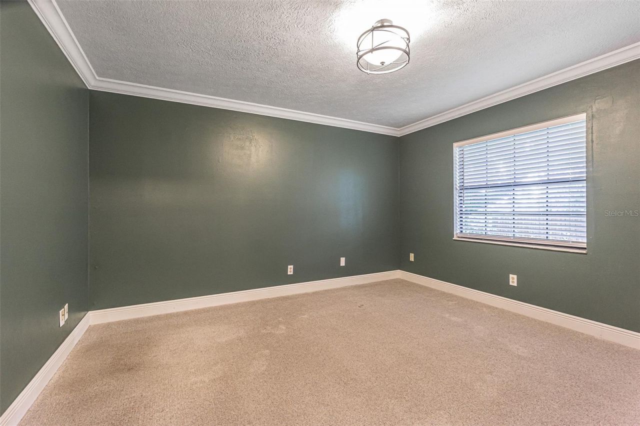 9217 Kingsridge Drive, Temple Terrace, FL 33637 Photo