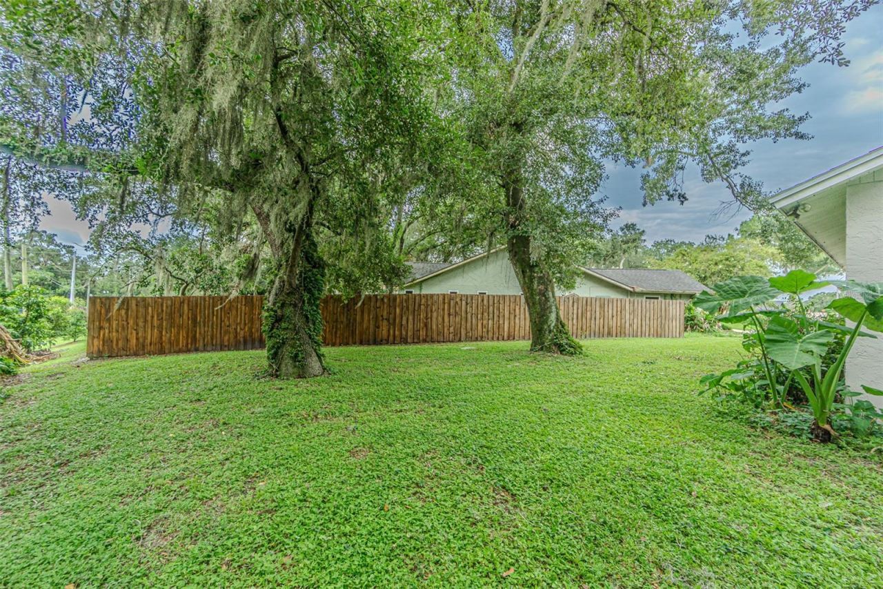 9217 Kingsridge Drive, Temple Terrace, FL 33637 Photo