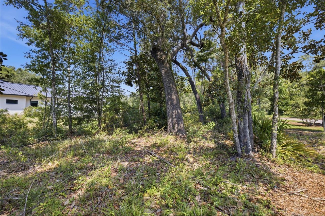 Marina Court, Niceville, FL 32578 Photo