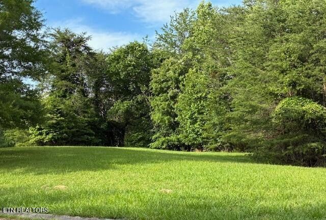 17 Waterstone Drive, Lot #17, Dandridge, TN 37725 Main Photo