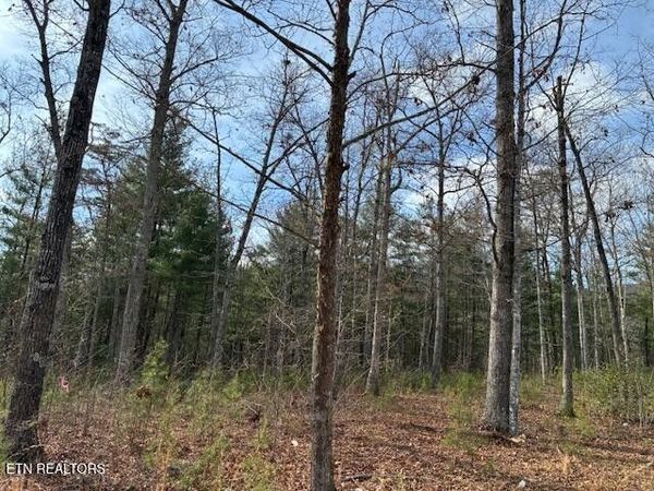 0 Mountain Ash Way , Unit 7, Sevierville, TN 37876