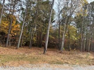440 Cody Lane , Madisonville, TN 37354 Main Photo