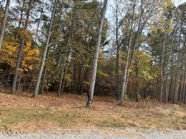 440 Cody Lane , Madisonville, TN 37354