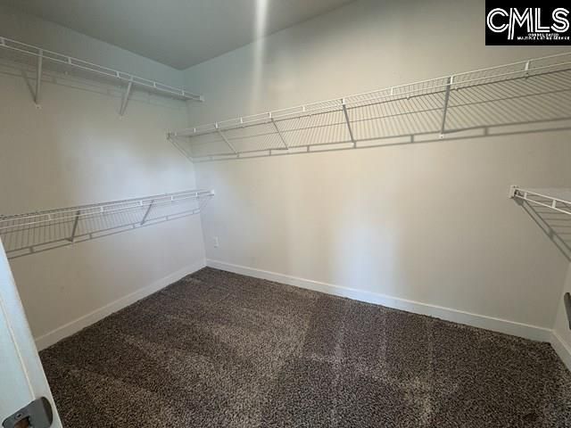 1146 Beechfern Circle  Photo 14