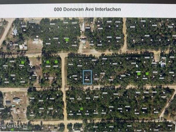 000 DONOVAN Avenue, Interlachen, FL 32148