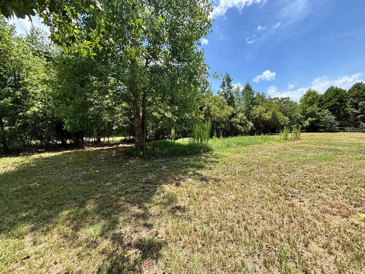 304 Katlyn Place Photo 9