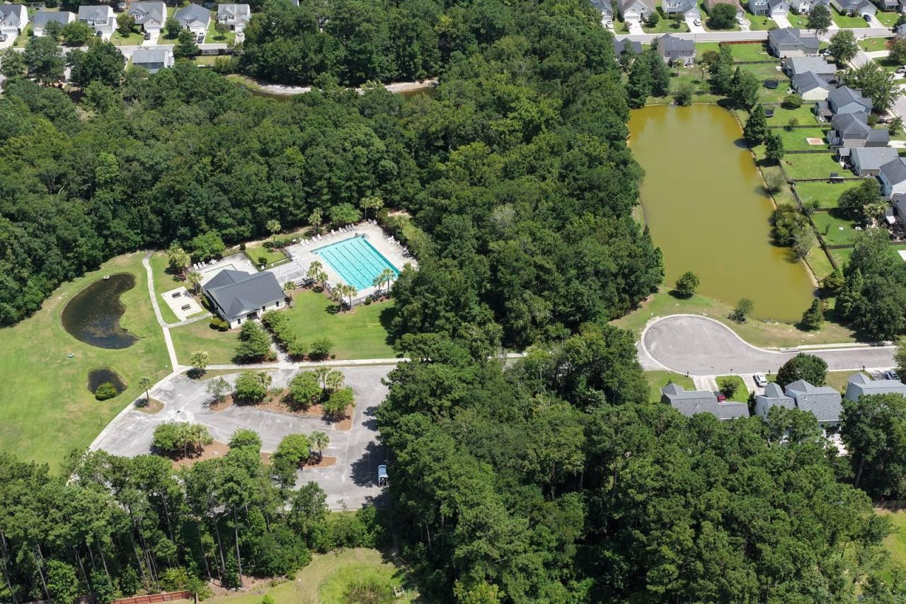 141 Towering Pine Drive Photo 42