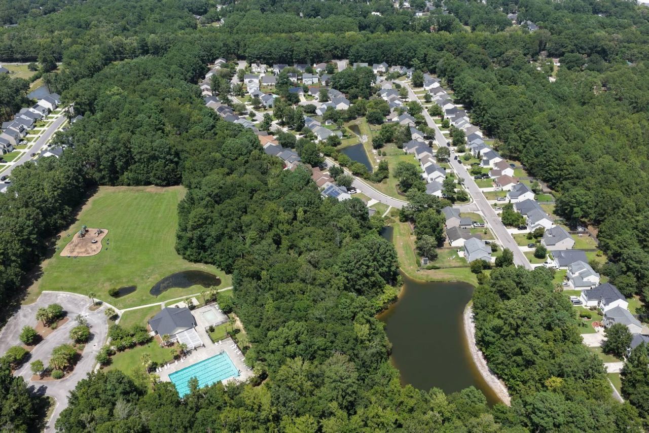 141 Towering Pine Drive Photo 43