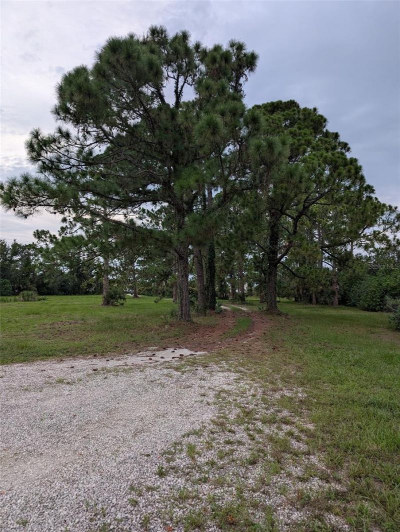 105 Jacaranda Boulevard, Venice, FL 34292 Photo