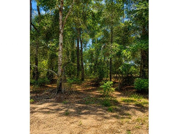 525 BADEN POWELL ROAD, Other, FL 32640