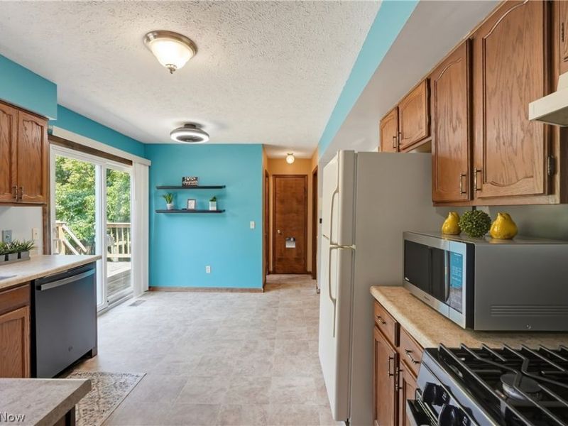 9065 Jackson Street, Mentor, OH 44060 Photo 10