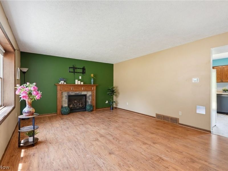 9065 Jackson Street, Mentor, OH 44060 Photo 3
