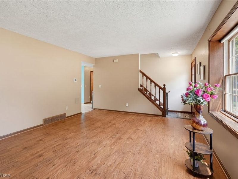 9065 Jackson Street, Mentor, OH 44060 Photo 5
