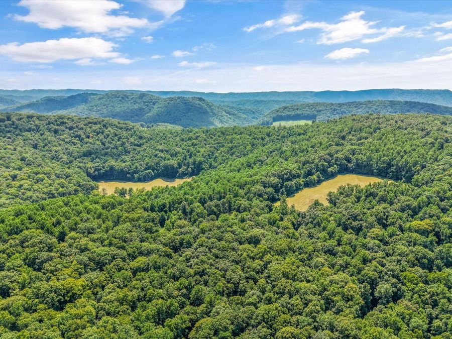 Property Image 50
