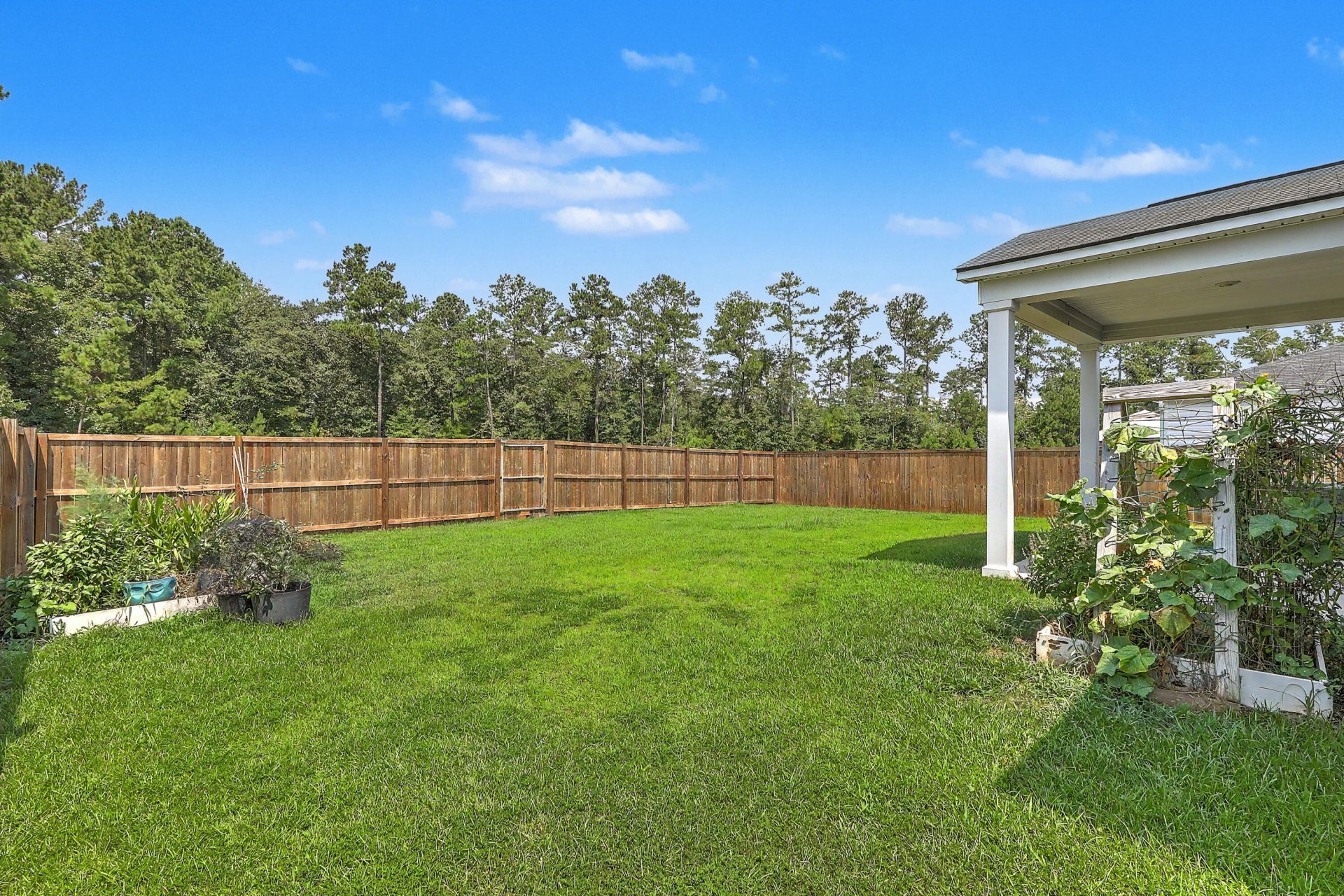 291 Firewheel Court Photo 32