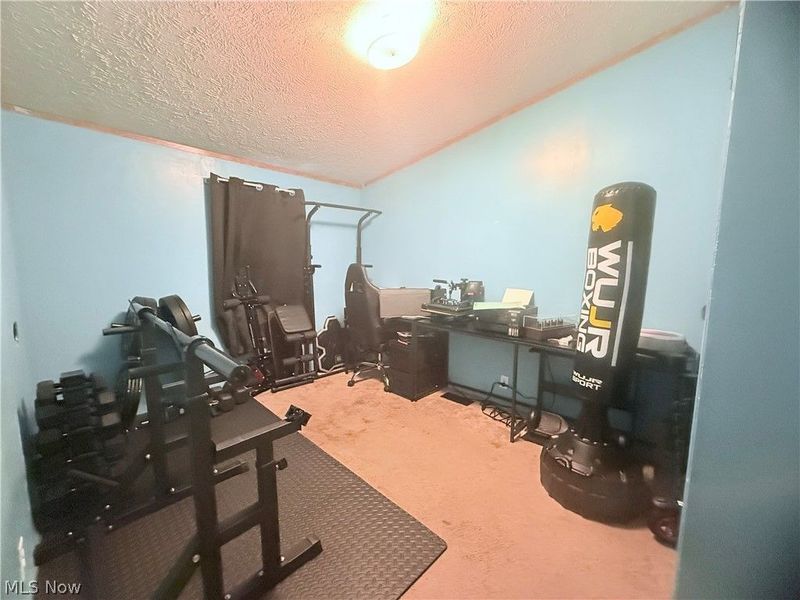 1241 N Park Circle, Brookfield, OH 44403 Photo 16