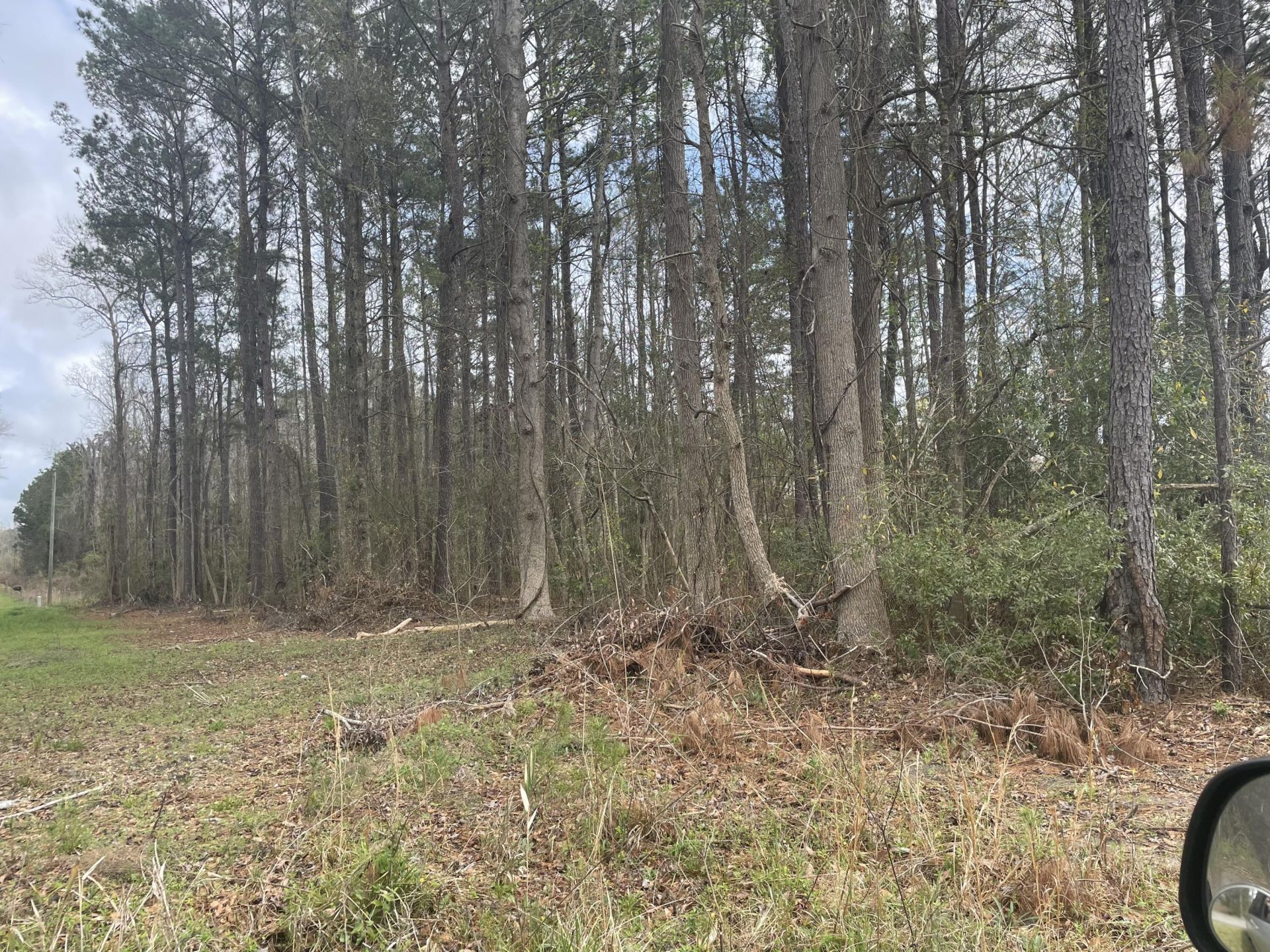 None Yet Forest Drive Photo 5