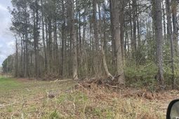 None Yet Forest Drive photo 4