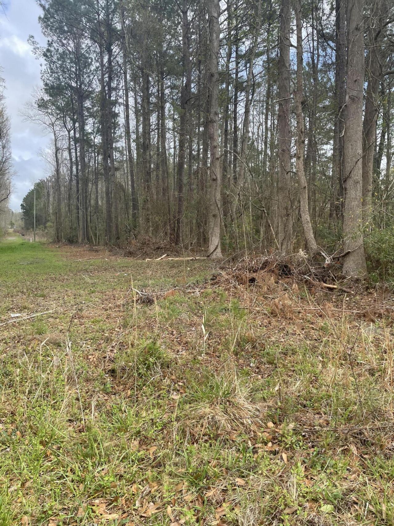 None Yet Forest Drive Photo 6