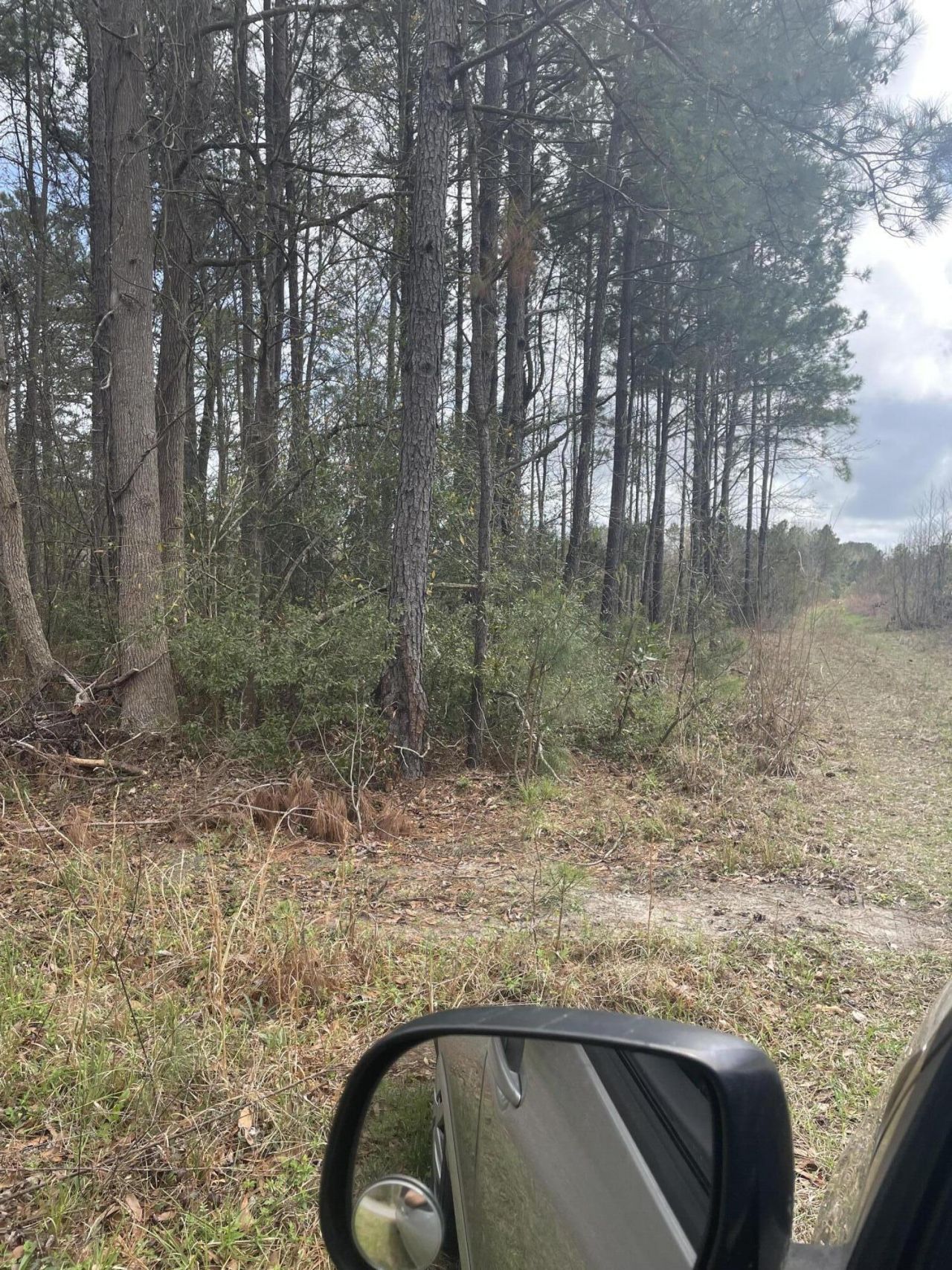 None Yet Forest Drive Photo 7