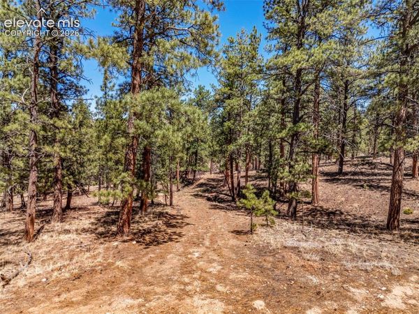 185 Sioux Trail, Westcliffe, CO 81252