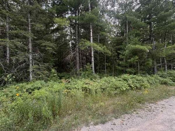 871 Zipf Street, Alanson, MI 49769