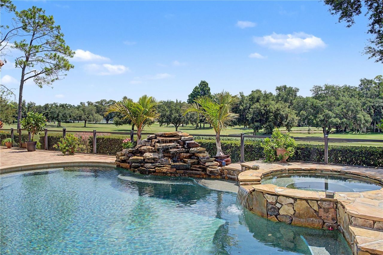 1306 Playmoor Drive, Palm Harbor, FL 34683 Photo