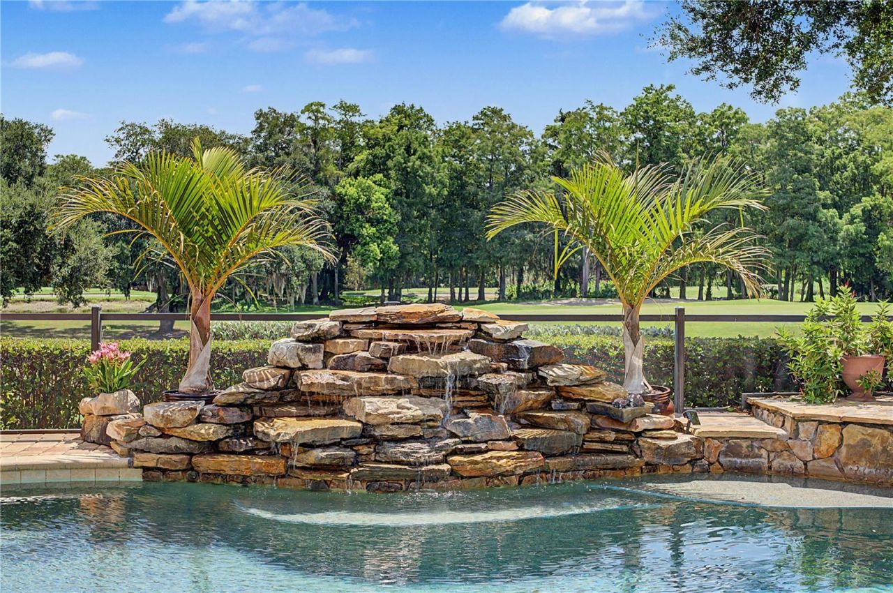 1306 Playmoor Drive, Palm Harbor, FL 34683 Photo