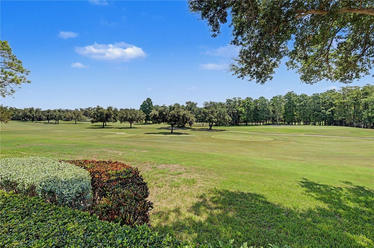 1306 Playmoor Drive, Palm Harbor, FL 34683 Photo