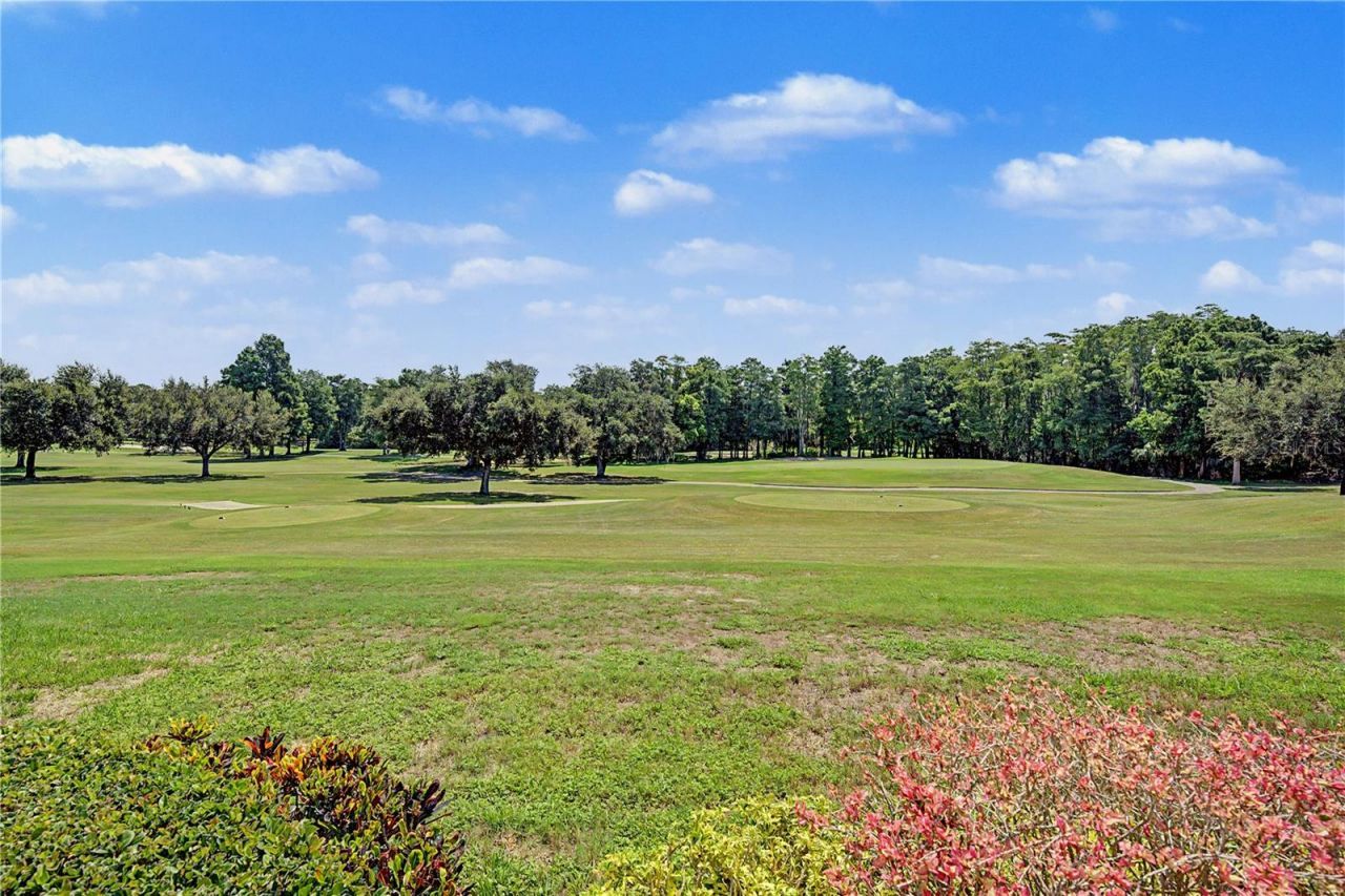 1306 Playmoor Drive, Palm Harbor, FL 34683 Photo