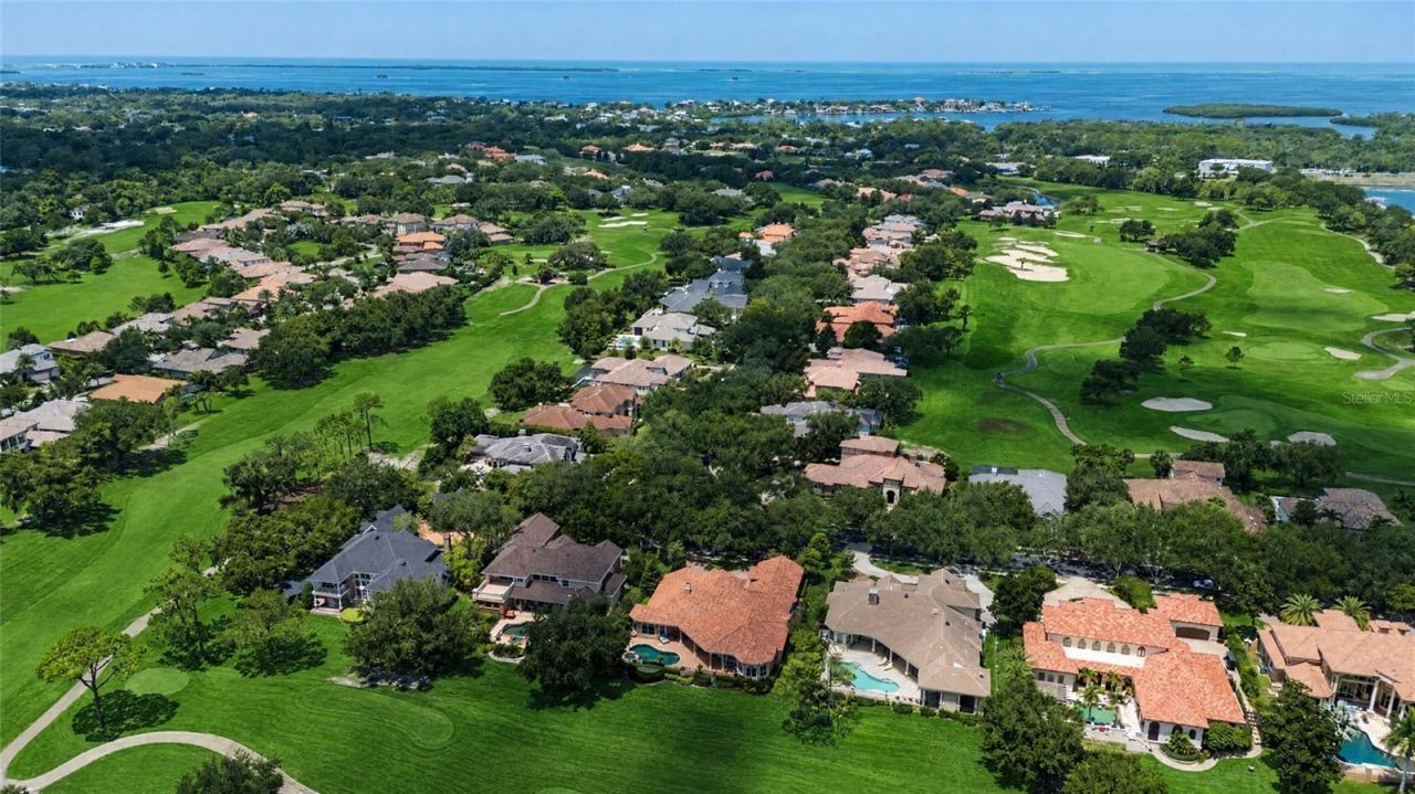 1306 Playmoor Drive, Palm Harbor, FL 34683 Photo