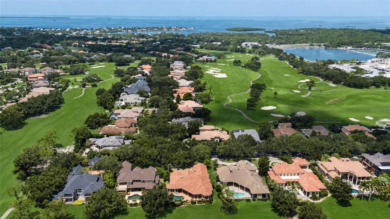 1306 Playmoor Drive, Palm Harbor, FL 34683 Photo