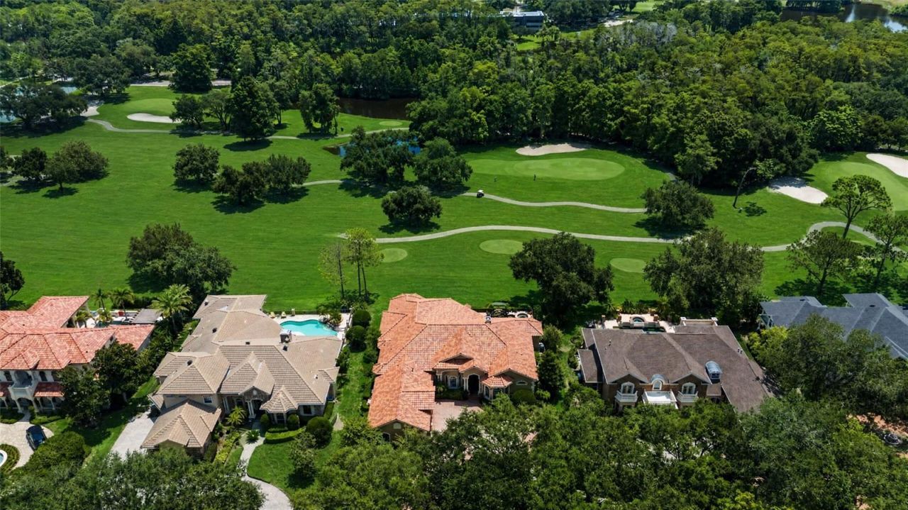 1306 Playmoor Drive, Palm Harbor, FL 34683 Photo