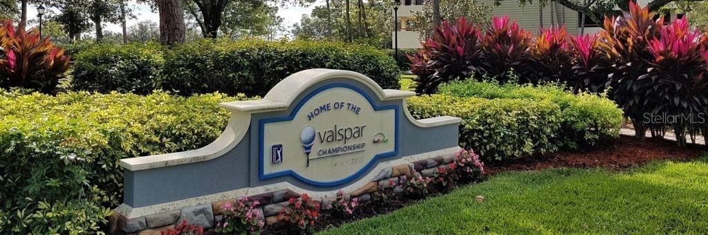 1306 Playmoor Drive, Palm Harbor, FL 34683 Photo