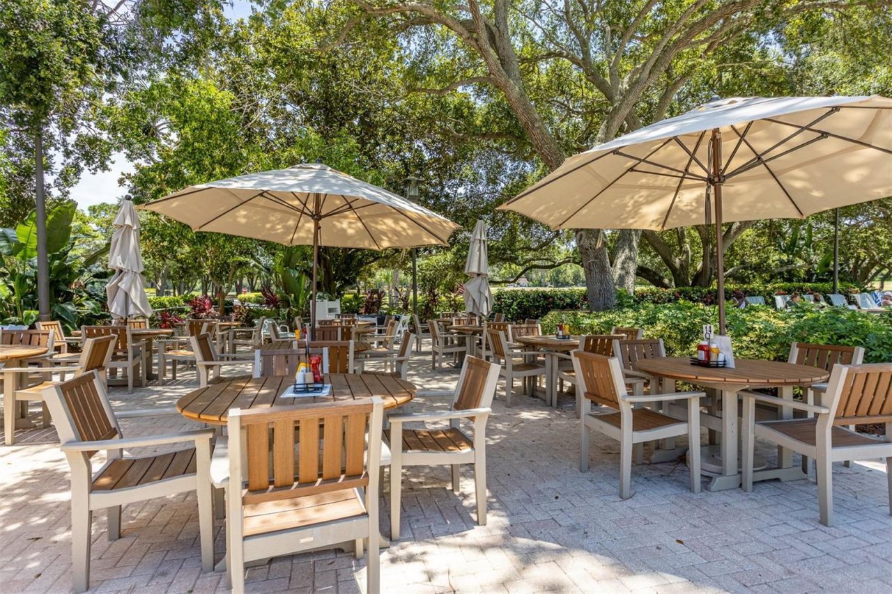 1306 Playmoor Drive, Palm Harbor, FL 34683 Photo