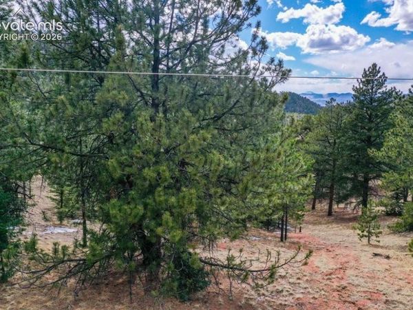 395 WABASH Terrace, Cripple Creek, CO 80813