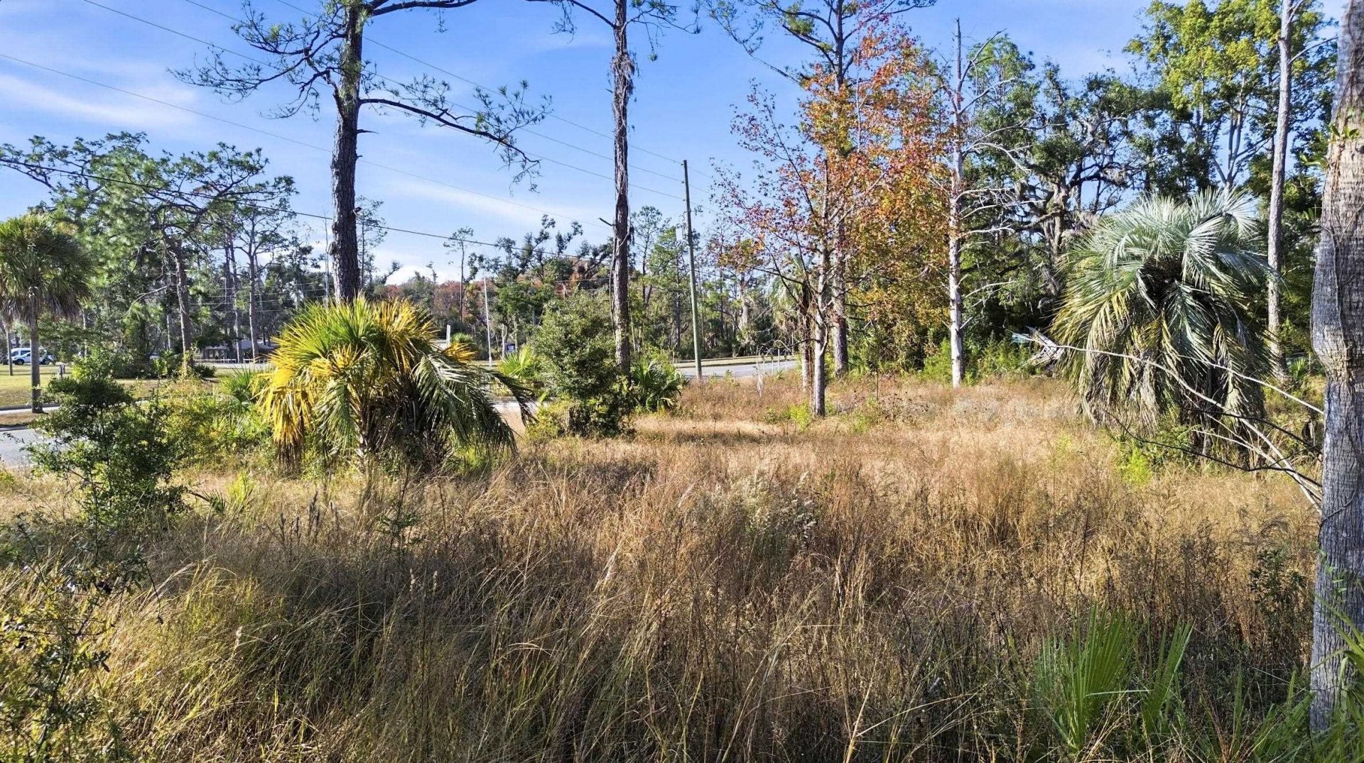 3134 S Byron Butler Parkway Highway , Perry, FL 32348 Photo