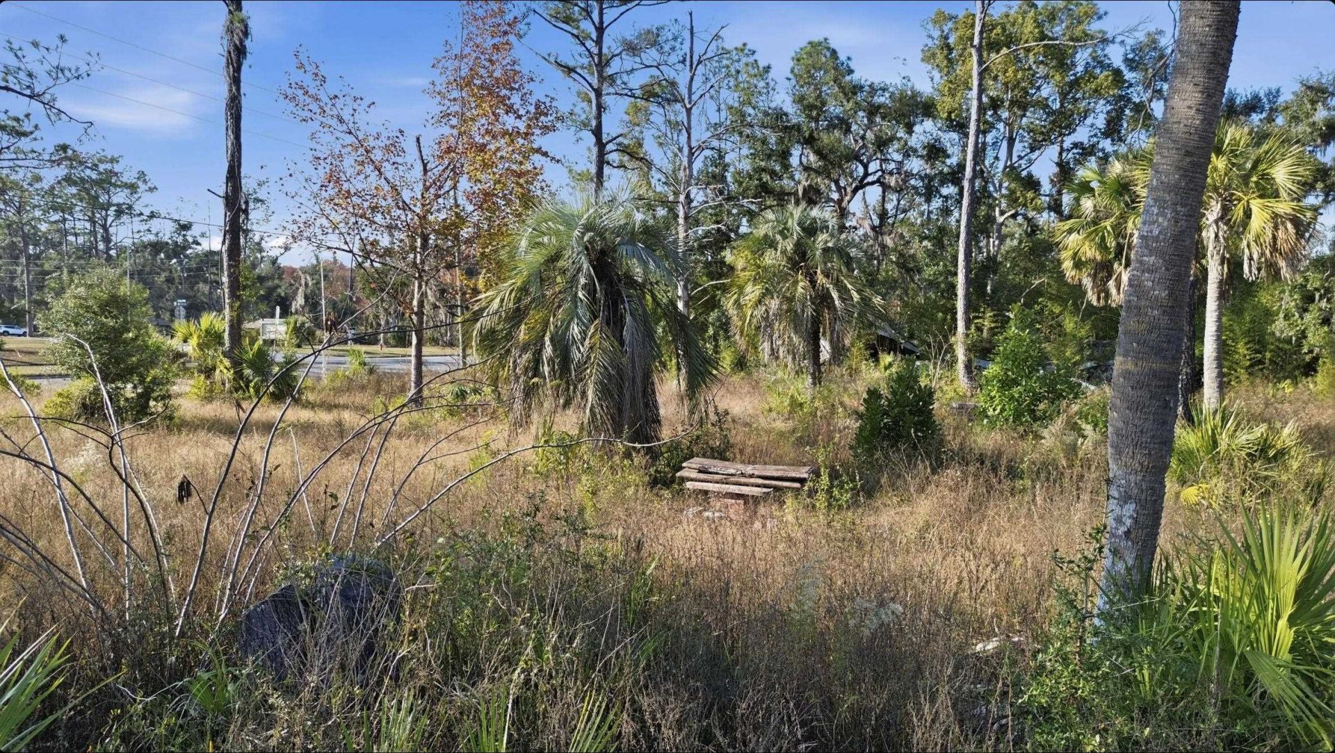 3134 S Byron Butler Parkway Highway , Perry, FL 32348 Photo