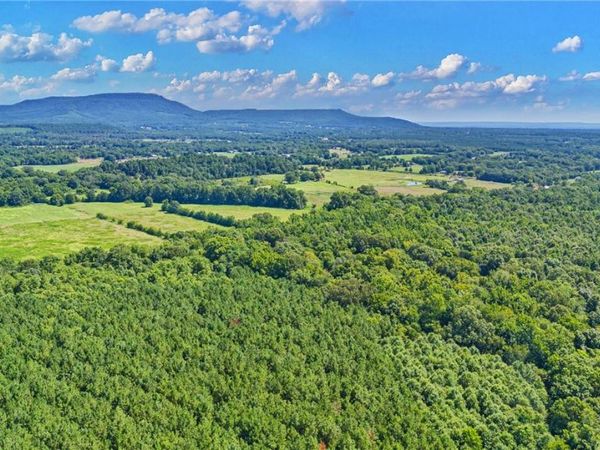 10972 A Cowger Lane , Dardanelle, AR 72834