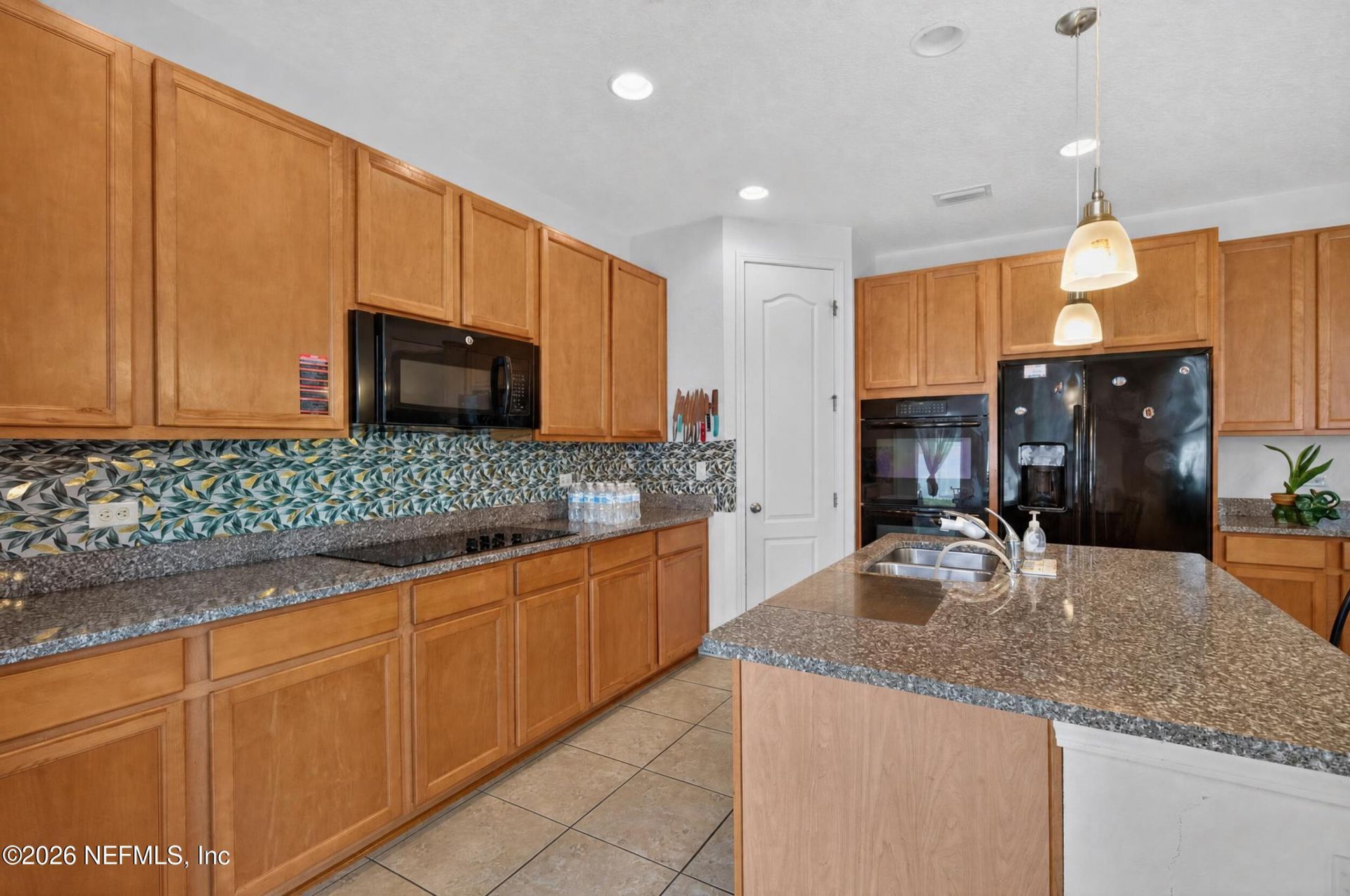 1010 Wetland Ridge Circle, Middleburg, FL 32068 Photo